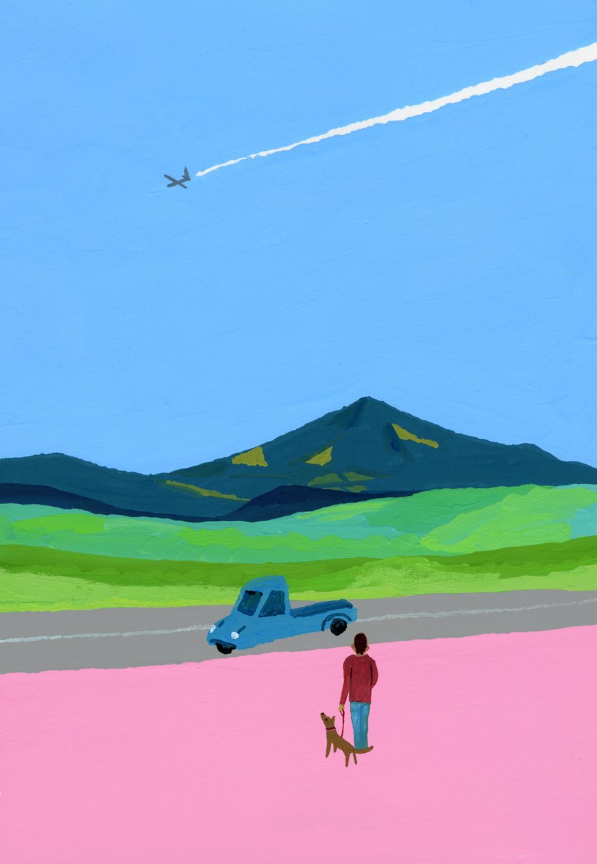 Airplane and pick up truck and dog and meadow 作者 井筒宏之