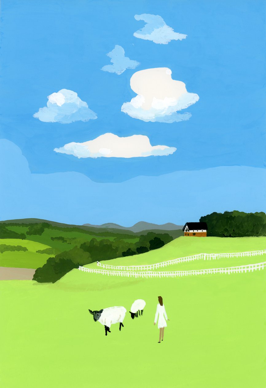 Prairie and sheep 作者 井筒宏之