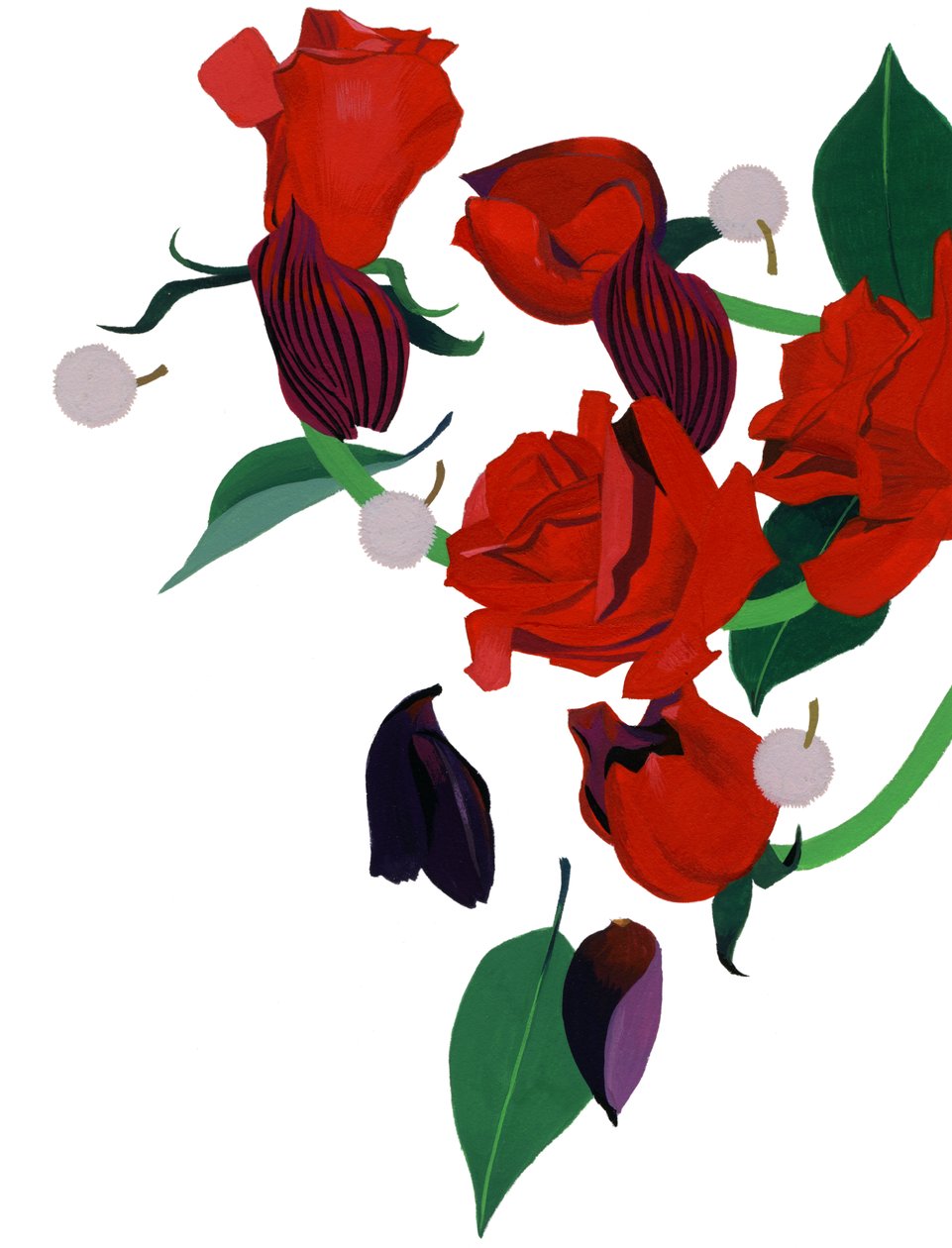 Red rose 作者 井筒宏之
