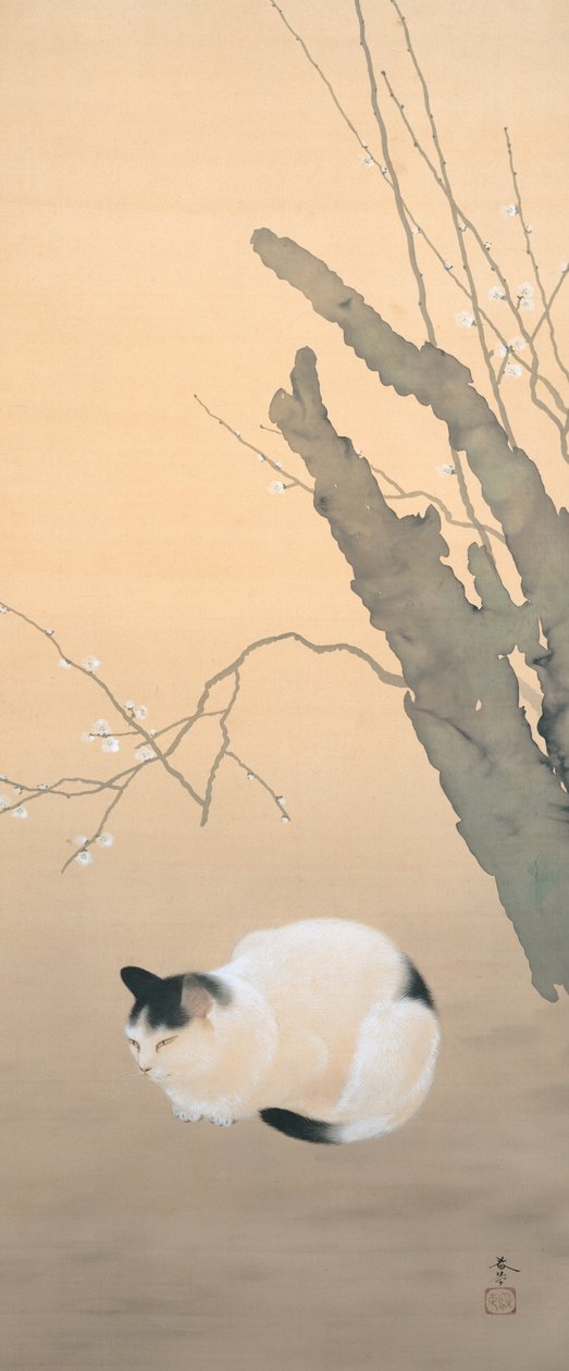 猫和梅花 作者 ida田顺庄