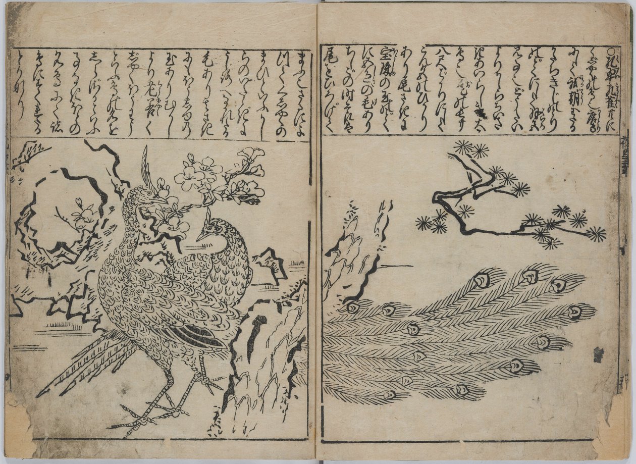 花鸟集》（Kacho zukushi） 作者 菱川师信