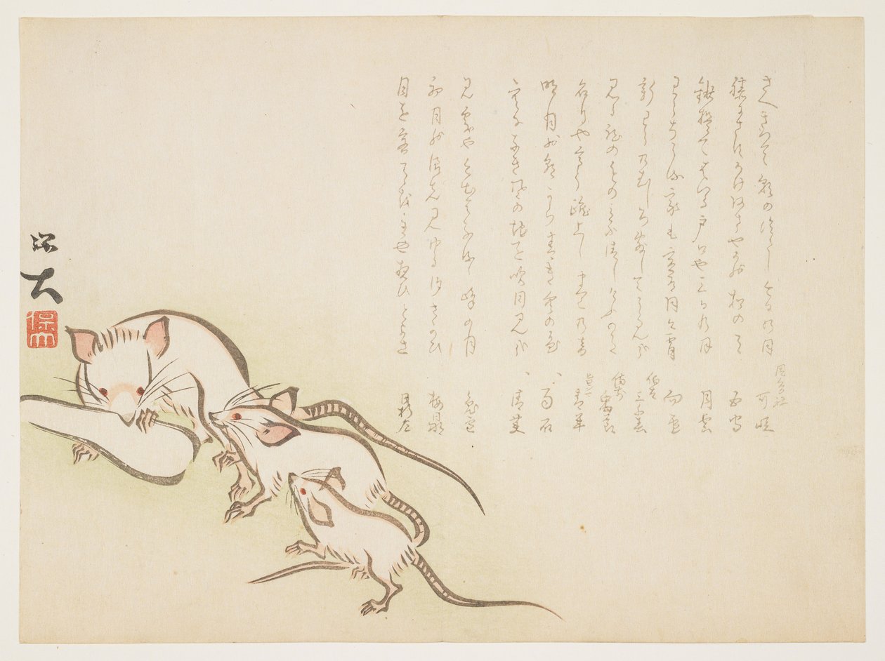 （白老鼠），1864年1月 作者 宝台