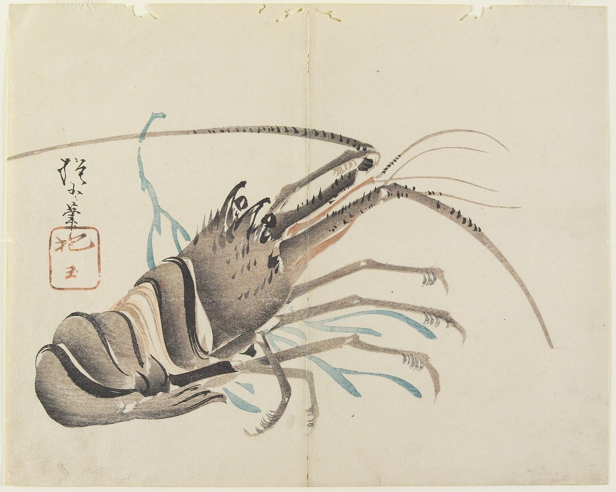（小龙虾），c。 1830 作者 北国