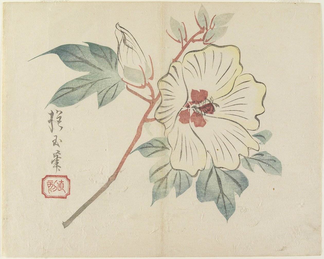 （大白花），c。 1830 作者 北国