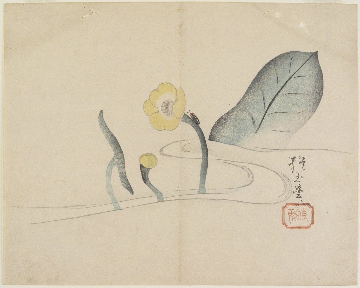 （Lotus和Gold Bug），c。 1830 作者 北国