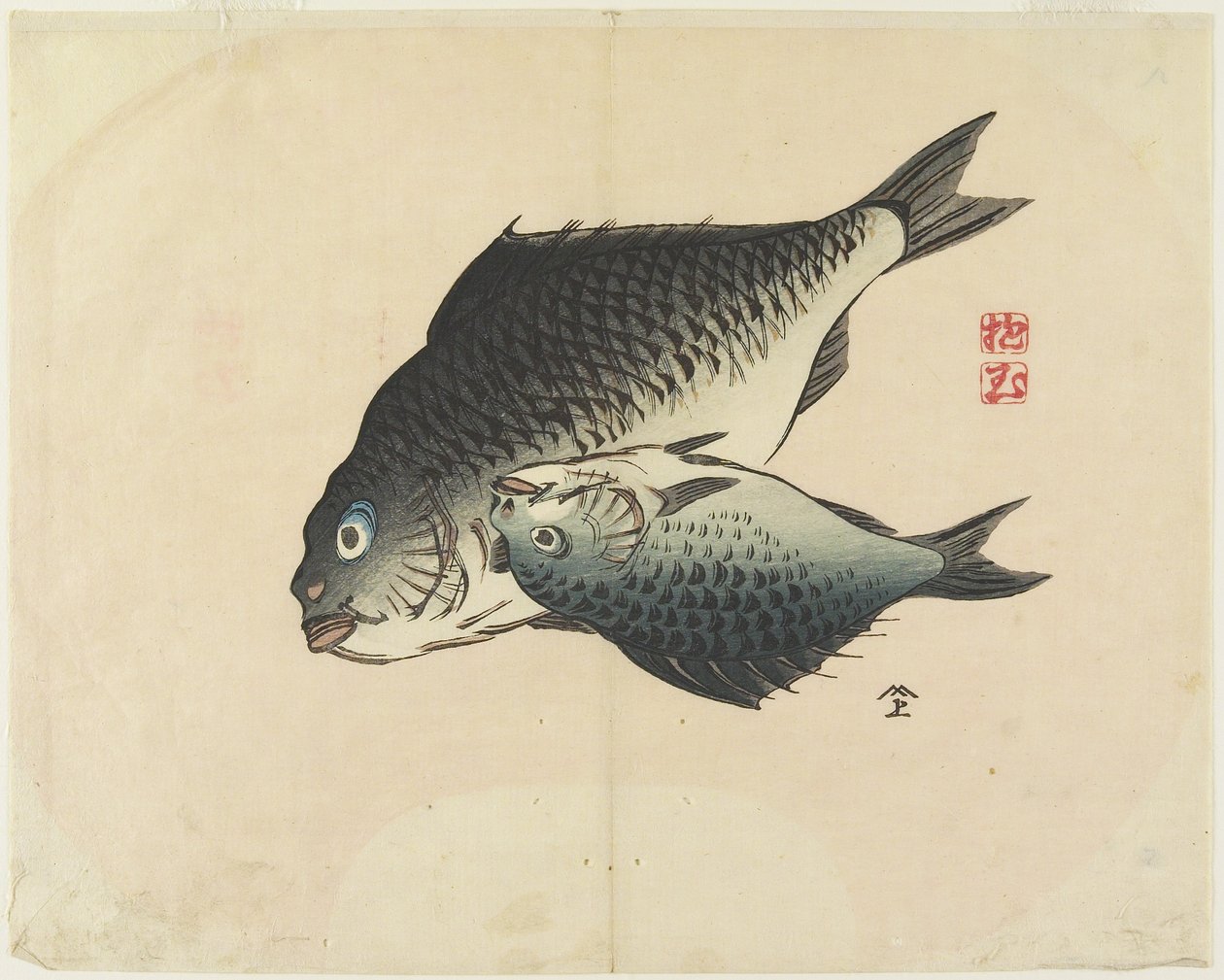 （一对鱼），c。 1830 作者 北国