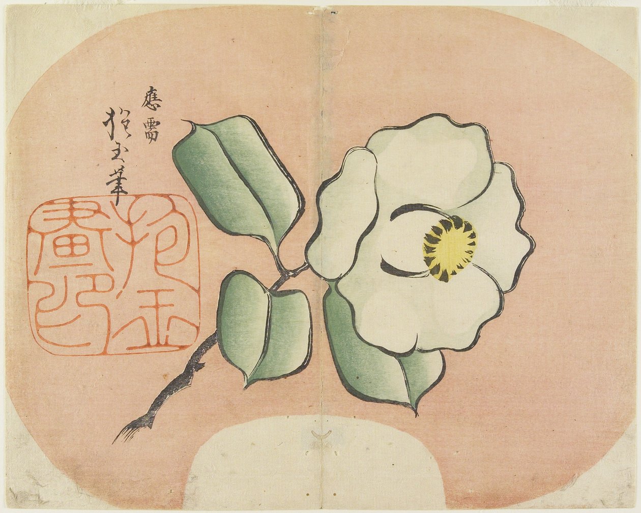 （白山茶花），c。 1830 作者 北国