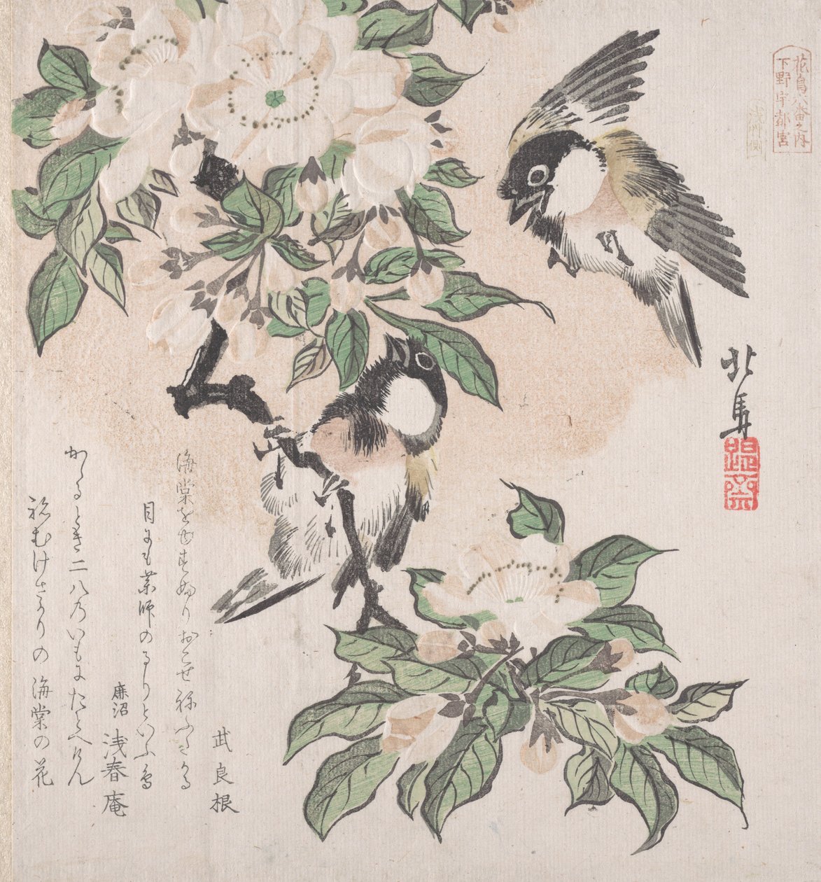 春雨集Harusame shu，第3卷：沼泽山雀和螃蟹花，约......，约1820年。 作者 北马