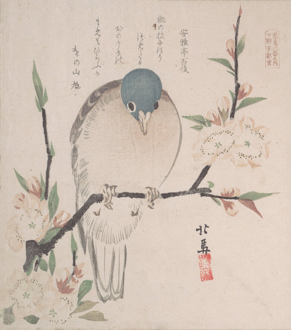 春雨集Harusame shu，卷三：山鸽桃花，约1820., 约1820. 作者 北马