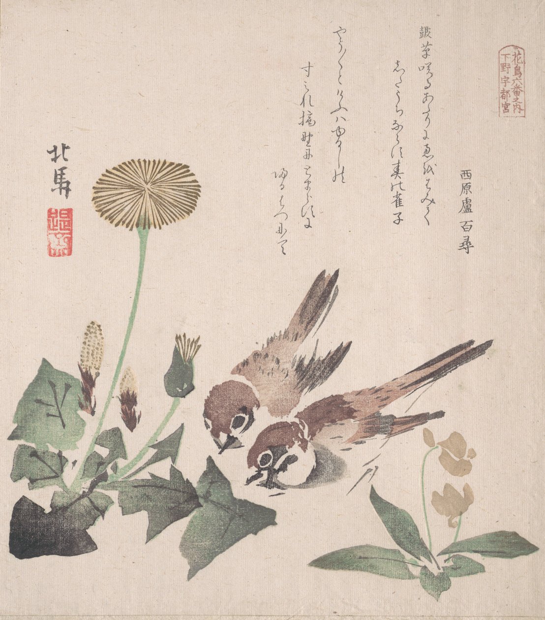 春雨集Harusame shu, vol. 3: Sparrows and Dandelions, ca. , ca. 1820. 作者 北马
