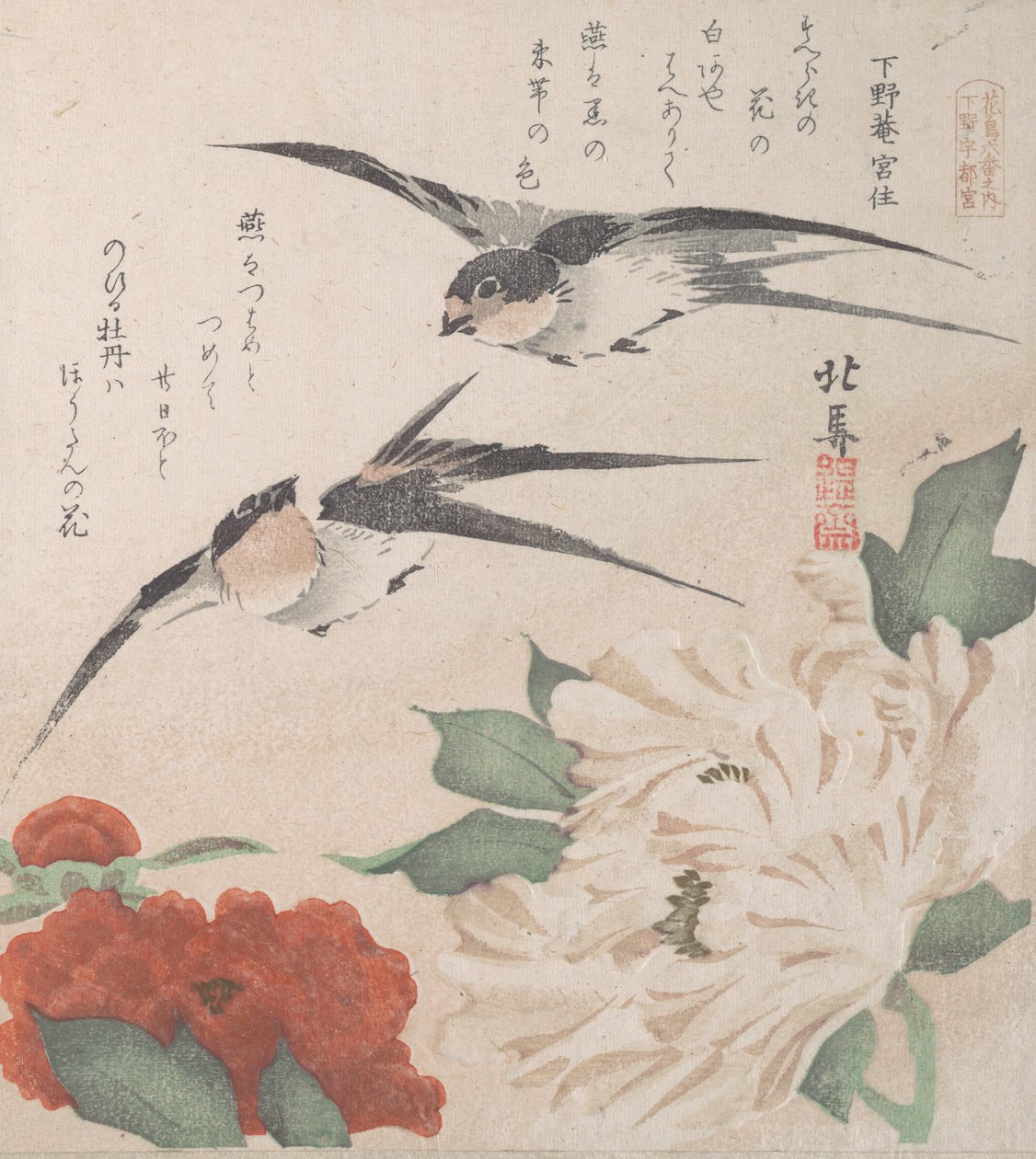春雨集Harusame shu, vol. 3: Swallows and Peonies, ca. , ca. 1820. 作者 北马