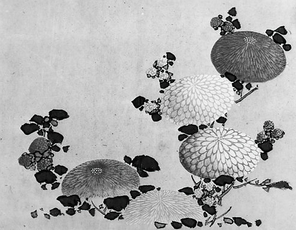 菊花，19世纪。 作者 北斋学校。