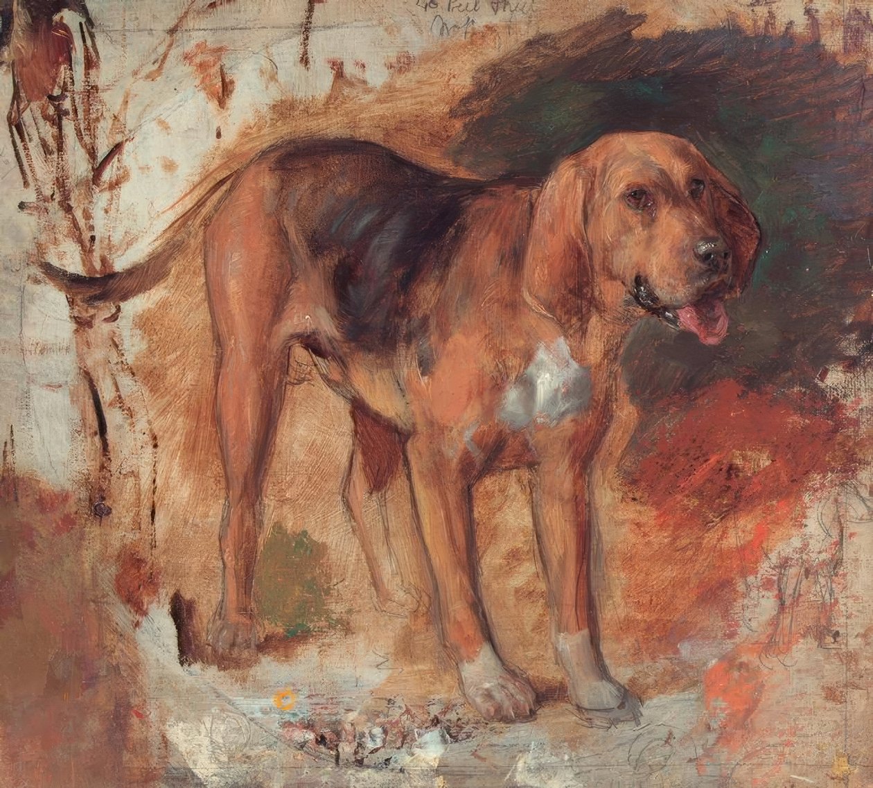 H.Hunt，研究猎犬 作者 霍尔曼·亨特