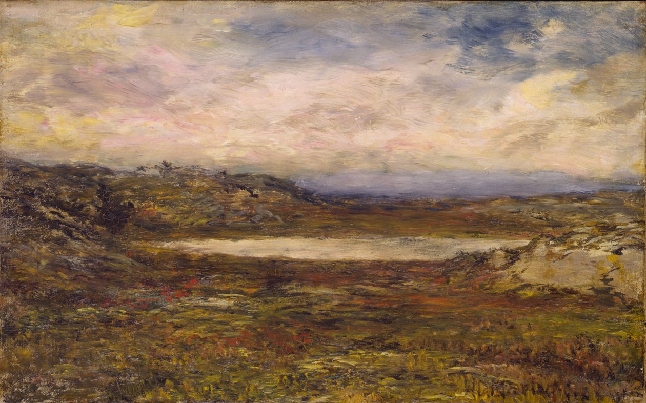 野生海岸，纽波特，约1885-1895。 作者 荷马·道奇·马丁