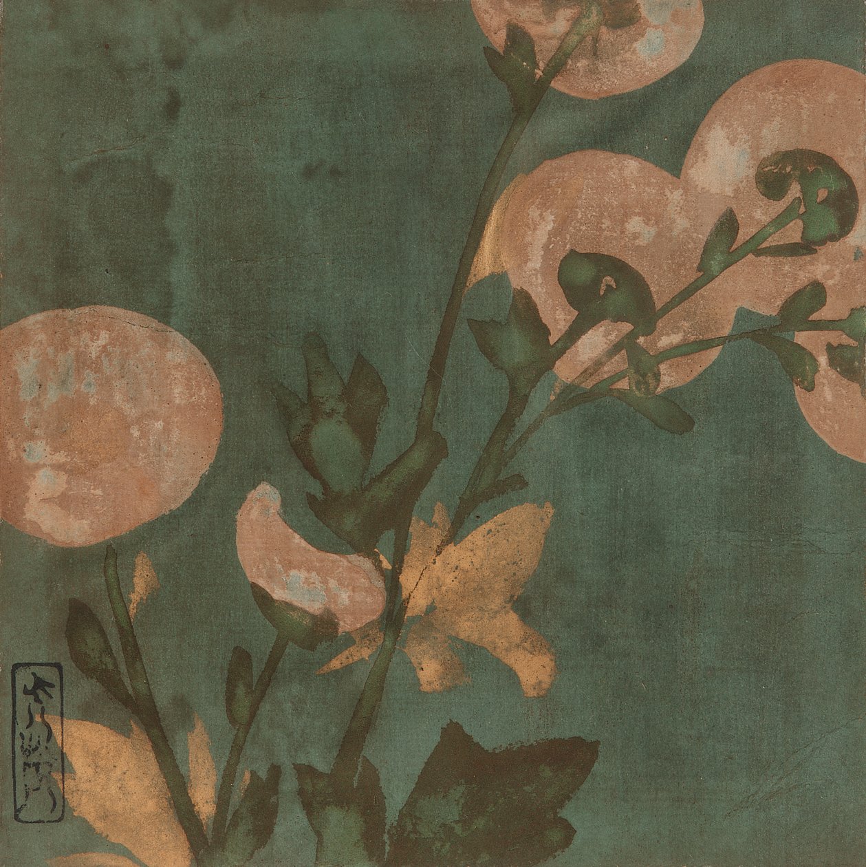 菊花，江户时期，16世纪末-17世纪初。   作者 本南光悦