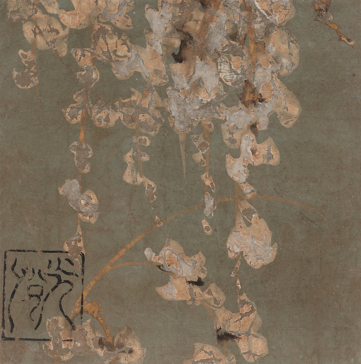 紫藤花，江户时代，17世纪初。 作者 本南光悦