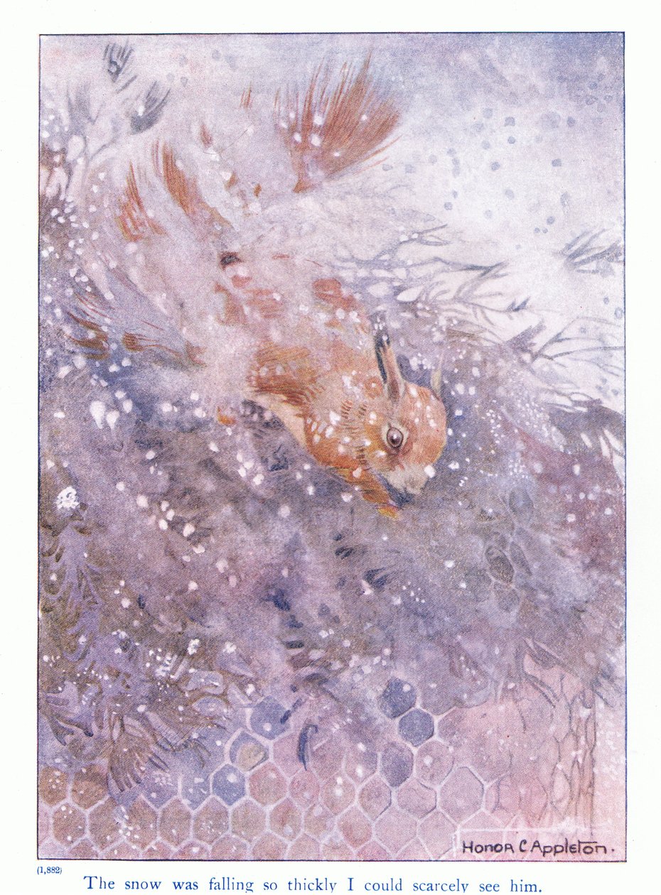 雪下得很大，我几乎看不见它，插图选自 Eleanor Tyrell 所著《关于松鼠的更多信息》，约 1915 年（彩色石版印刷）。 作者 荣誉夏洛特阿普尔顿
