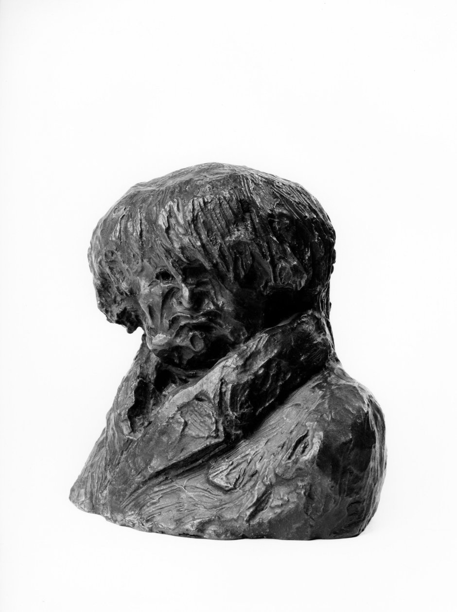 The busts loads of the “” Celebrites du Juste Milieu” “” Caricature by Clement Prunelle (1777-1853), doctor, depute and mayor of Lyon”” Sculpture by Honore Daumier (1808-1879) 19th century. Dim in cm H 13 x L 15 Inv RF 263 Musee des Beaux Arts, Palais Long 作者 奥诺雷·杜米埃