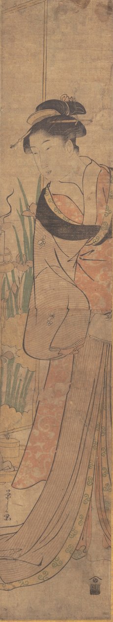 年轻女士和鸢尾花园。 作者 细田英史