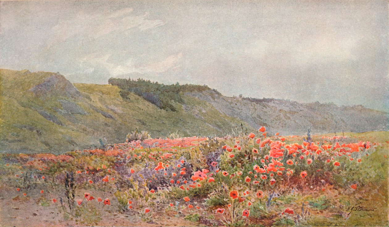 罂粟谷，c1879-1903，1903年 作者 霍华德·古德·斯托蒙特