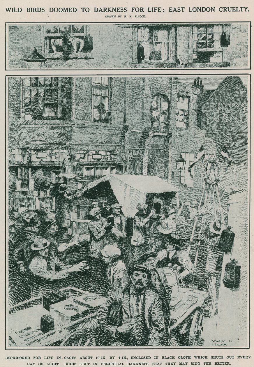 野鸟注定一生黑暗：东伦敦的残酷（雕刻） 作者 霍华德·埃尔科克