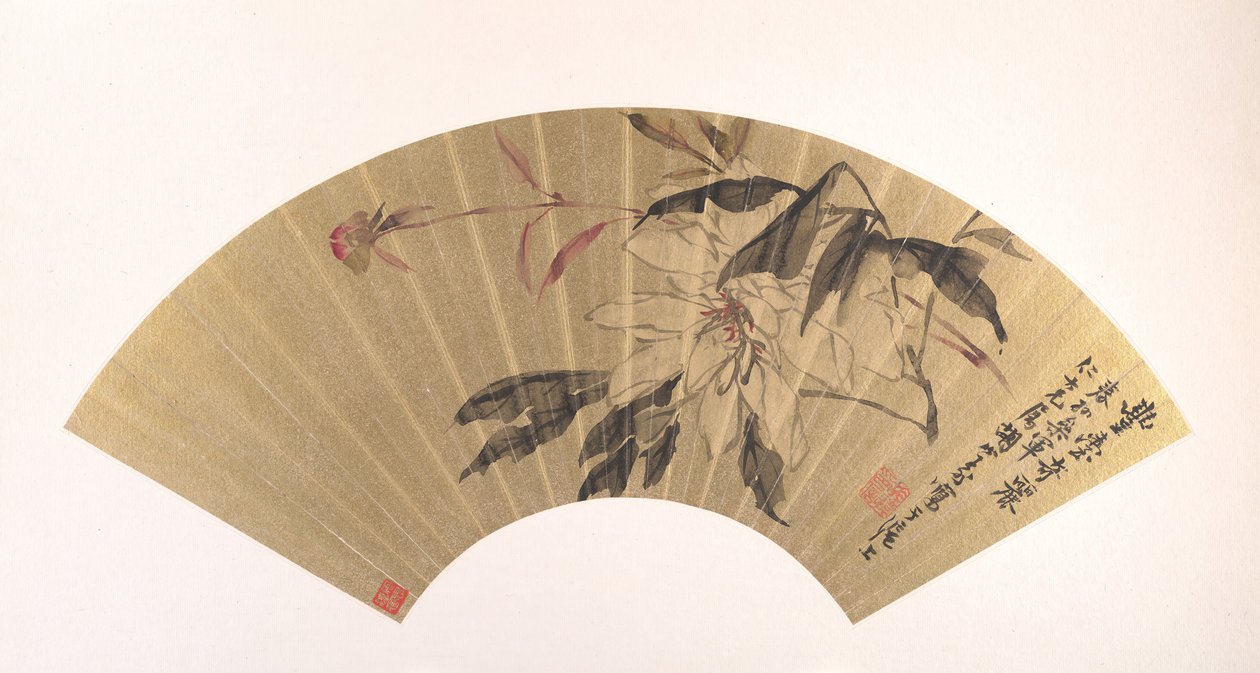 草本牡丹。 作者 胡元