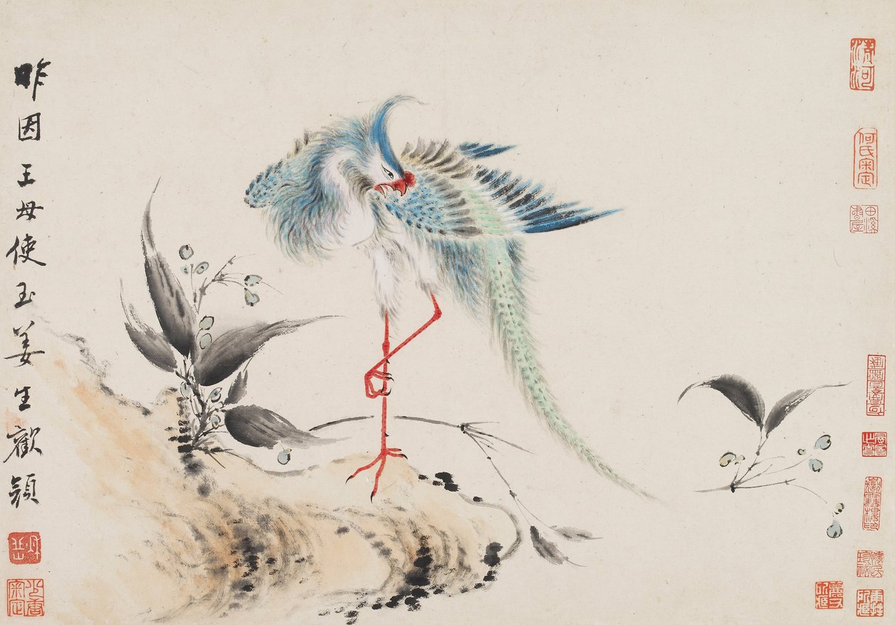 鸟与花 作者 华岩