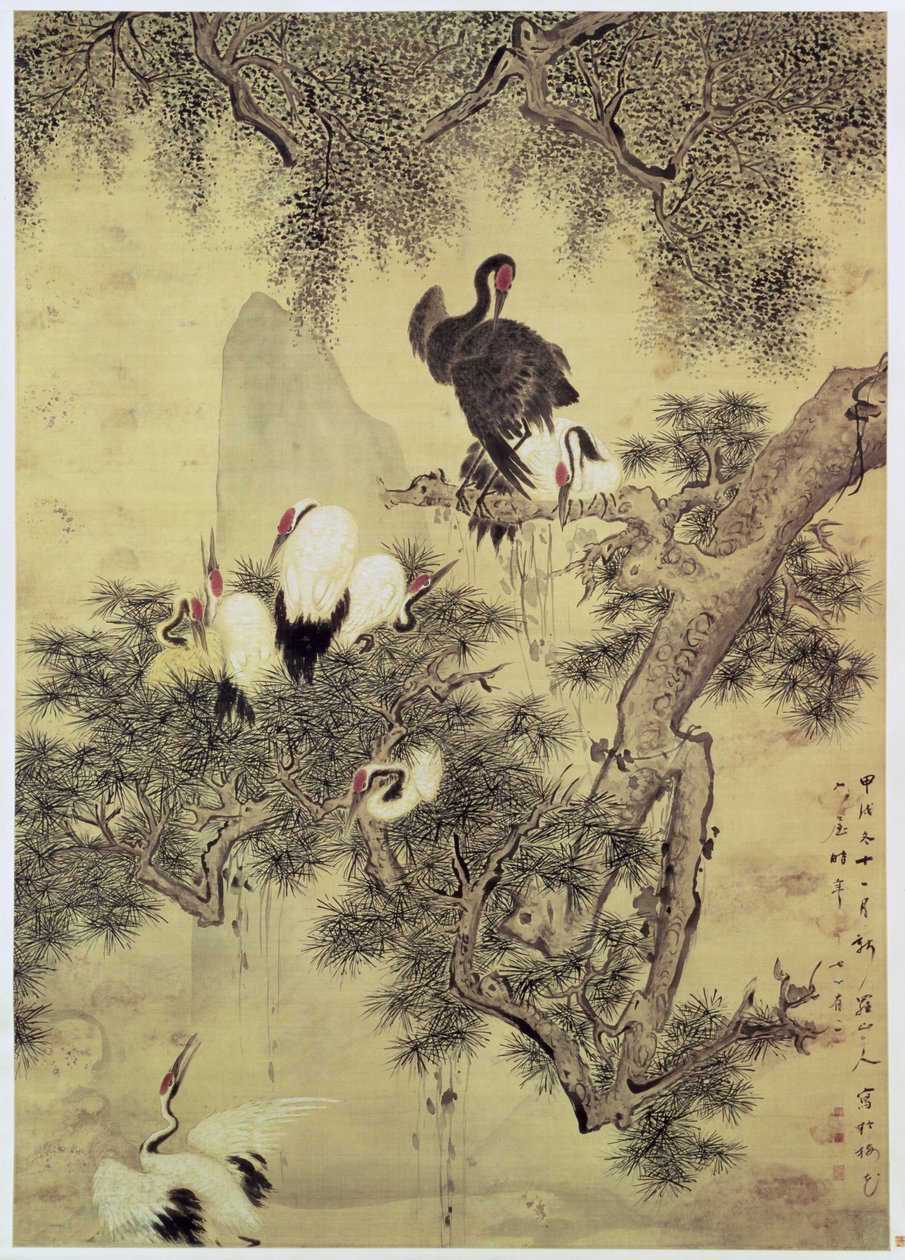 八棵红冠鹭在一棵松树上，1754年 作者 华岩
