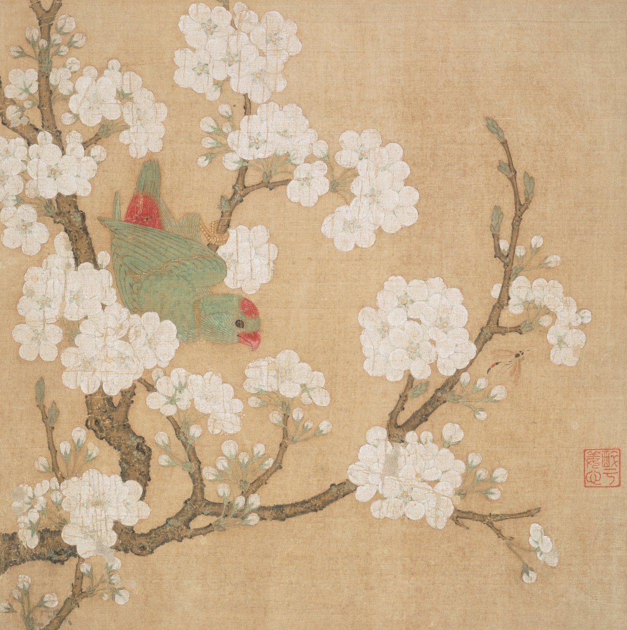 鹦鹉和昆虫在梨花中 作者 黄菊才