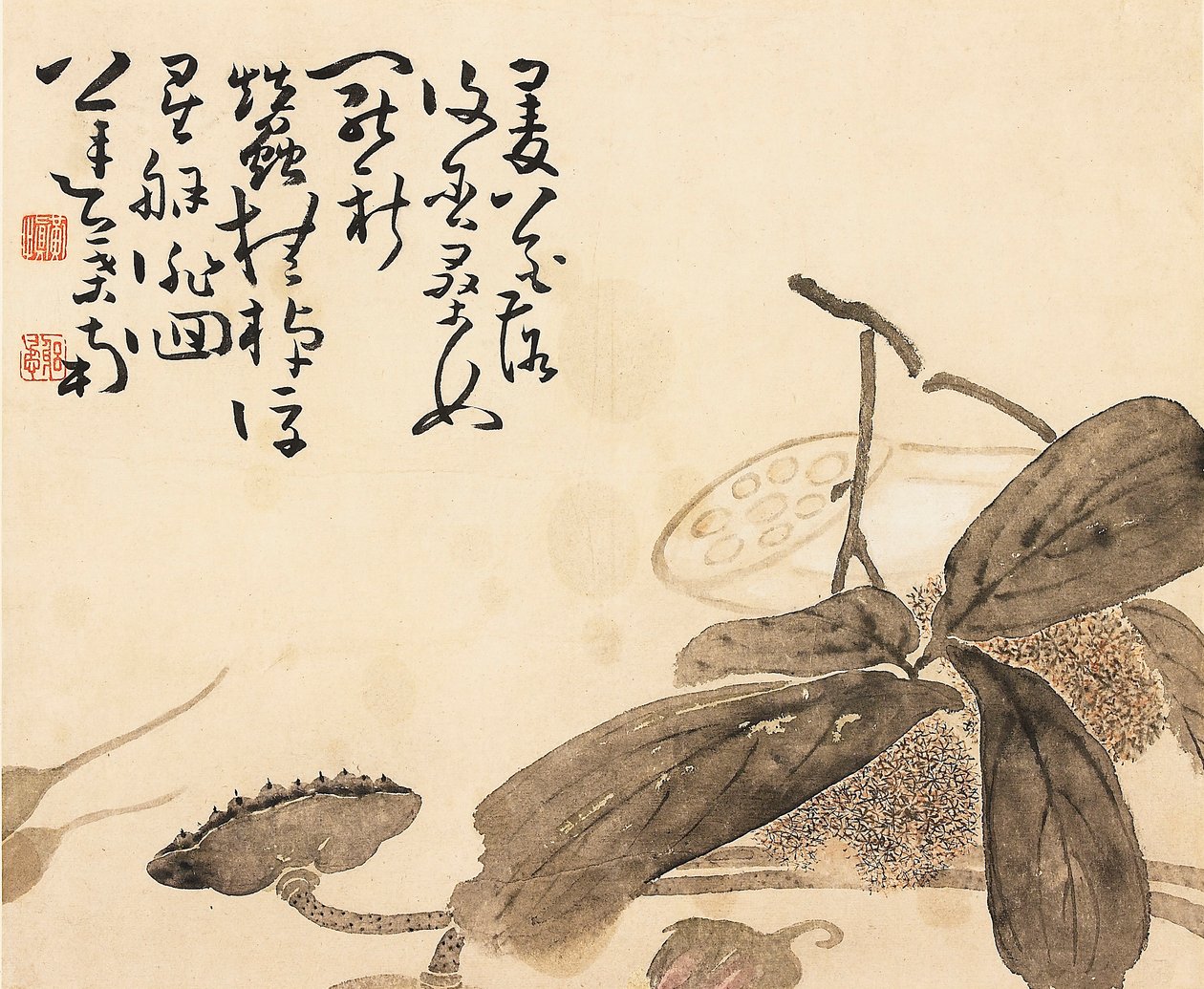 彩绘册页--莲花植物，18世纪 作者 黄申