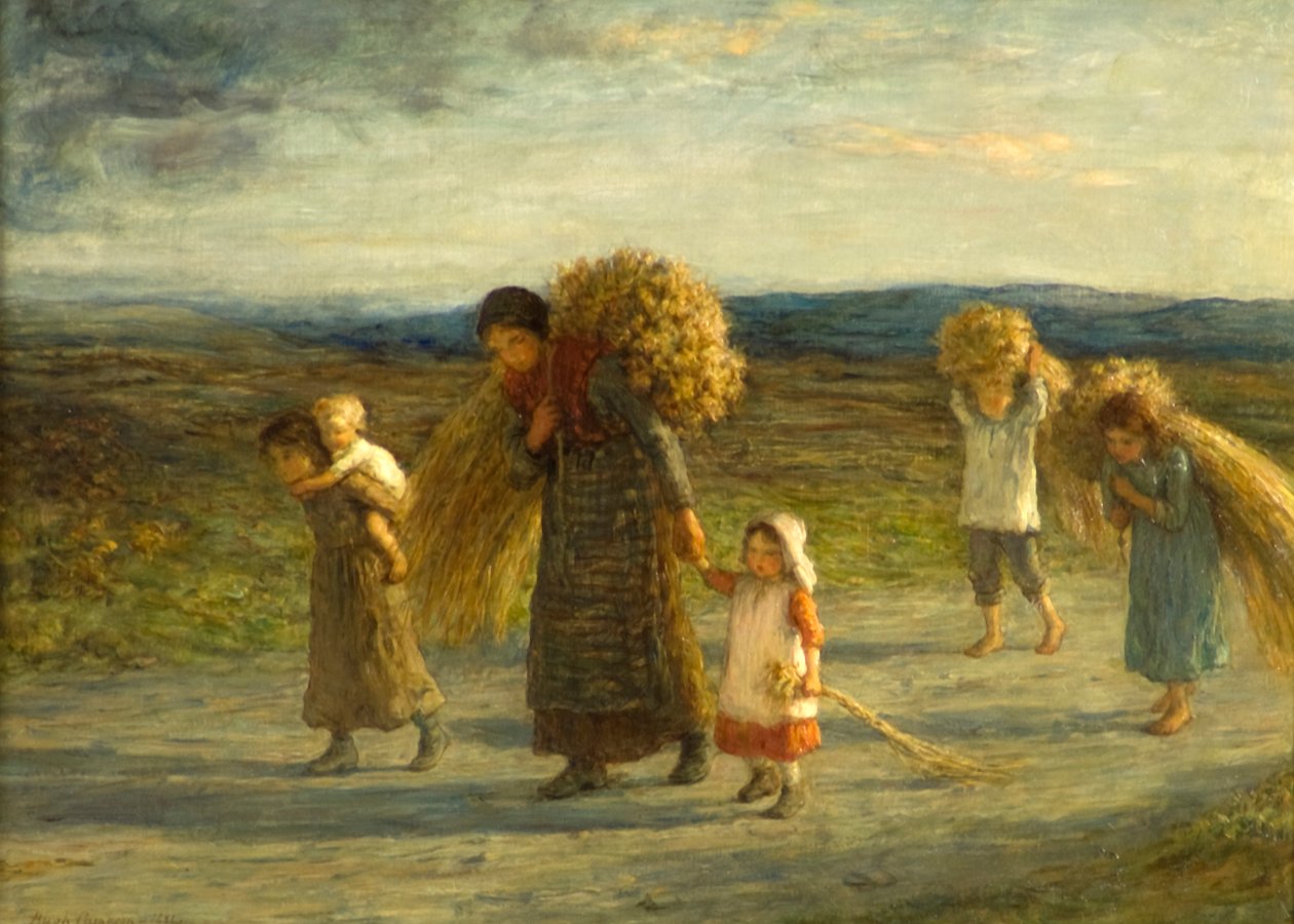 Gleaners 作者 休·卡梅伦