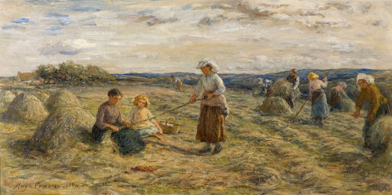Haymaking 作者 休·卡梅伦