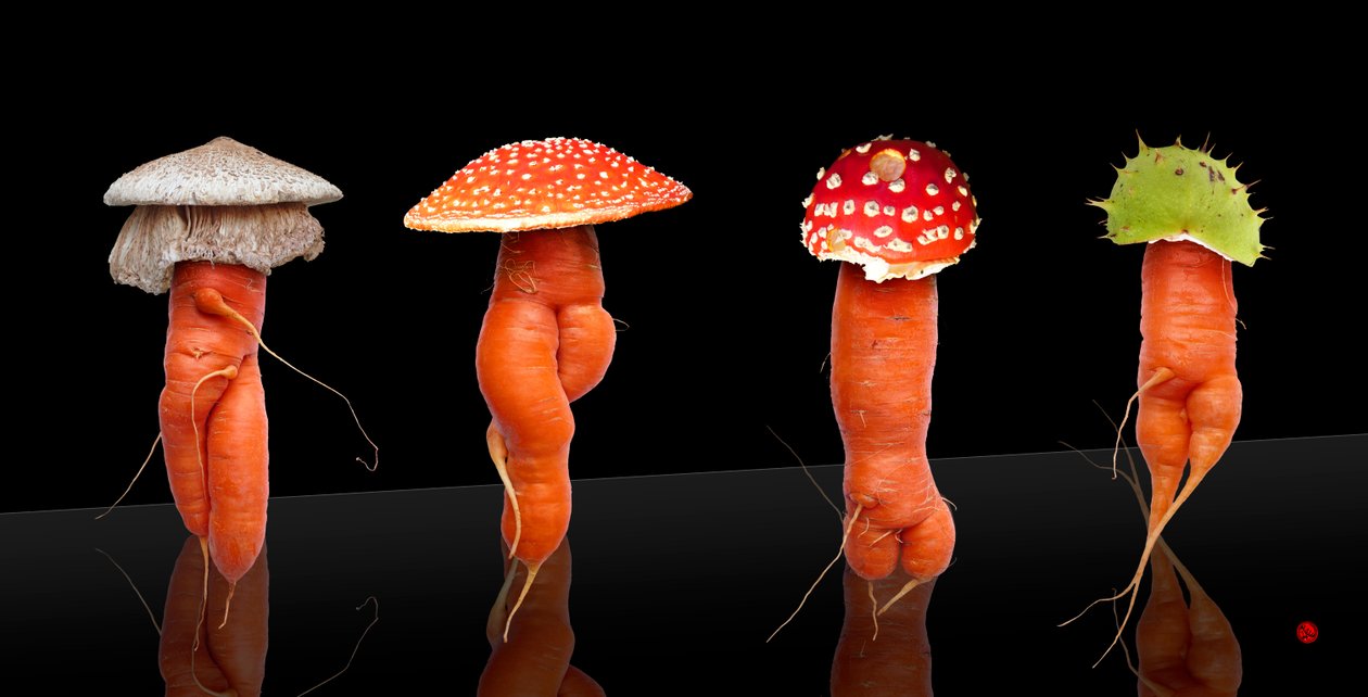 准备穿 作者 雨果·内菲