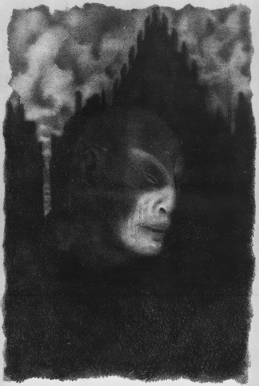 G.Meyrink, Der Golem / Ill. v. Steiner-Pr. 作者 雨果施泰纳布拉格