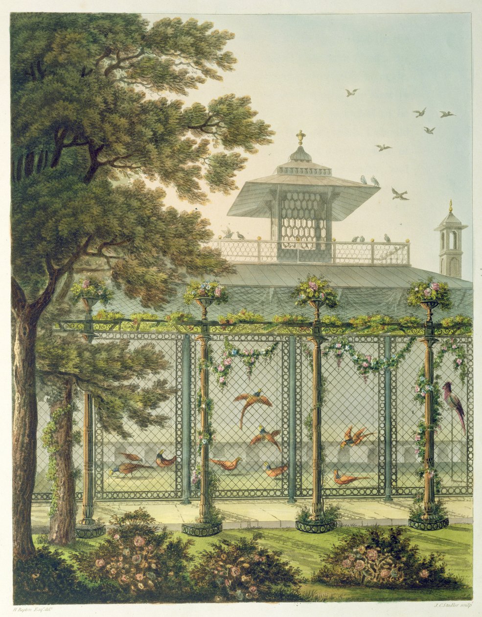 The Pheasantry，由Joseph Constantine Stadler（17,08-1812）在“布莱顿展馆设计”中雕刻而成。 1808 作者 汉弗莱·雷普顿