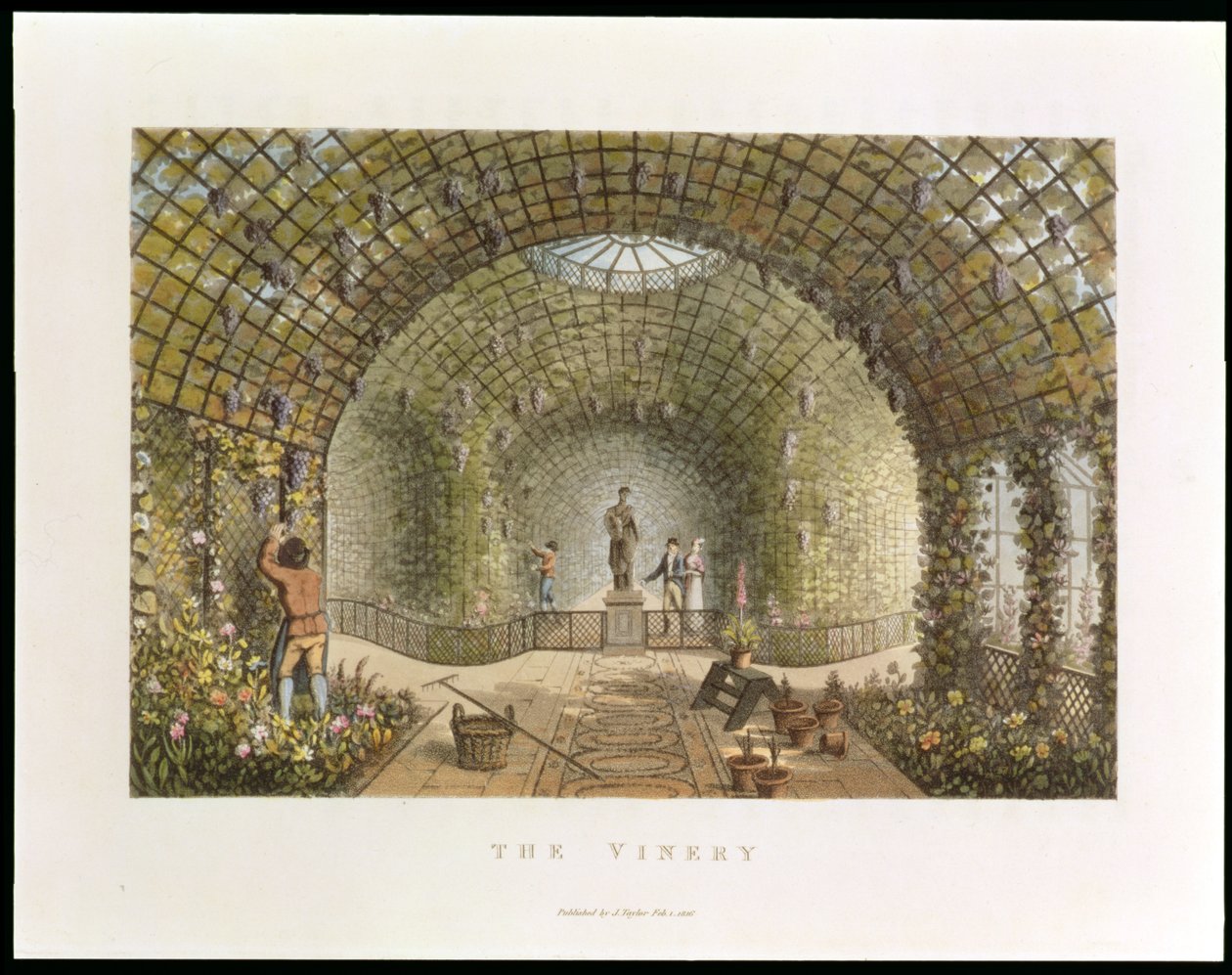 葡萄园，来自“园林理论与实践的碎片”，酒吧。 1816 作者 汉弗莱·雷普顿