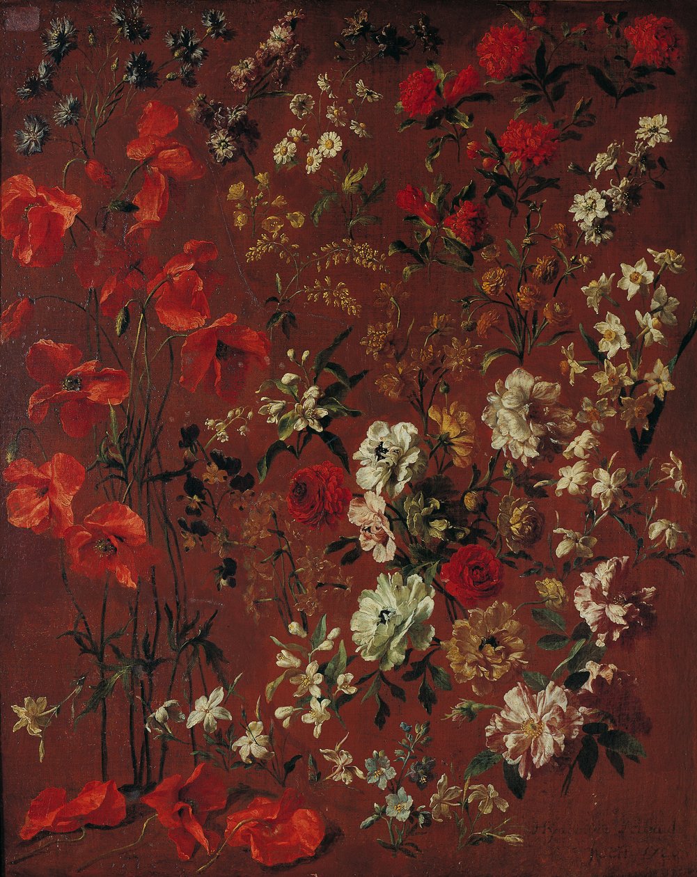 花的研究，1720 作者 风信子 Francois Rigaud