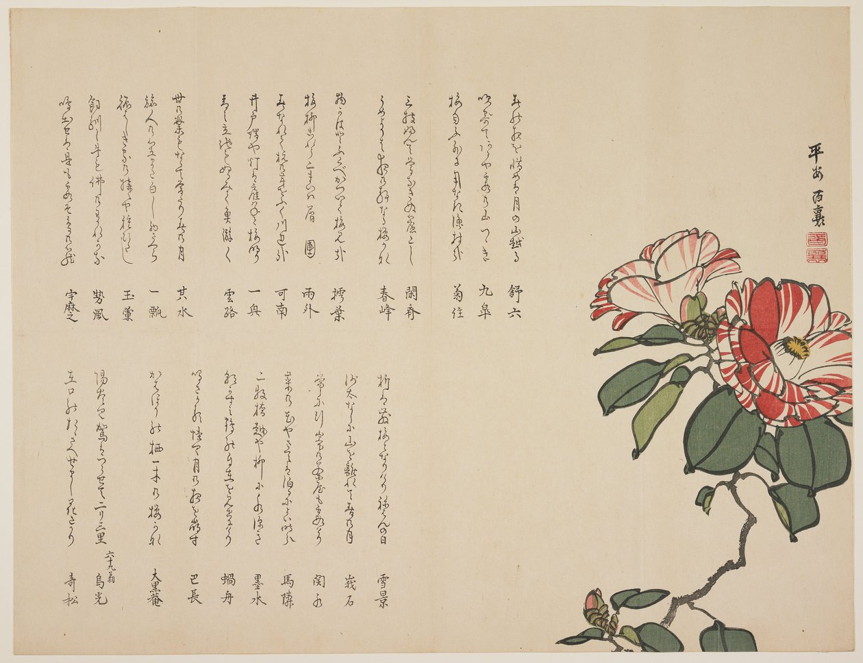 开花山茶花，c.1818-1829（彩色木版画） 作者 百久