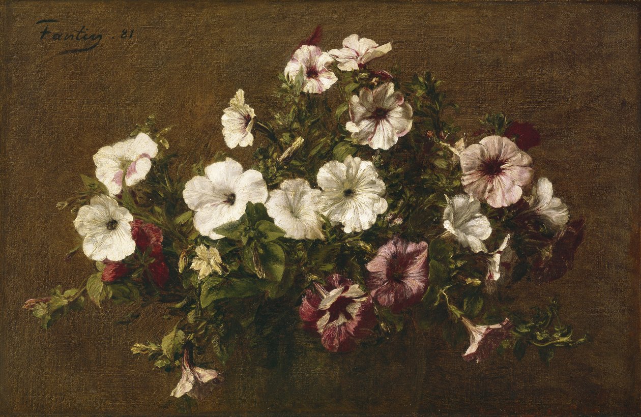 Petunias，1881 作者 伊格纳斯·亨利·让·范坦·拉图尔
