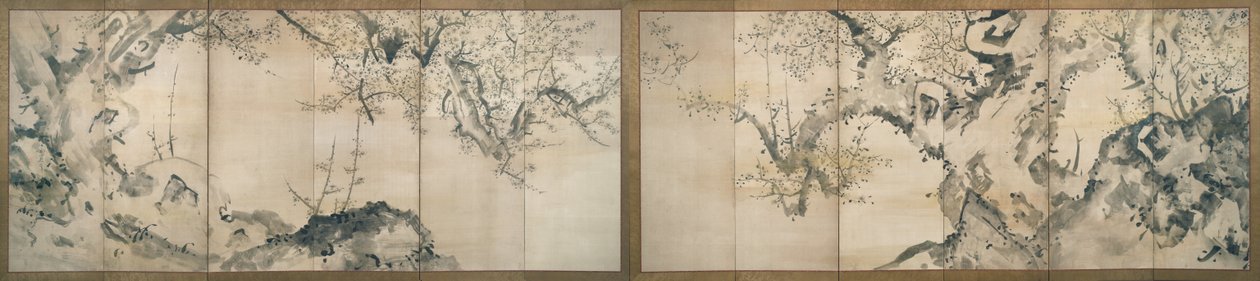 在薄雾中开花的梅花树 作者 池之针