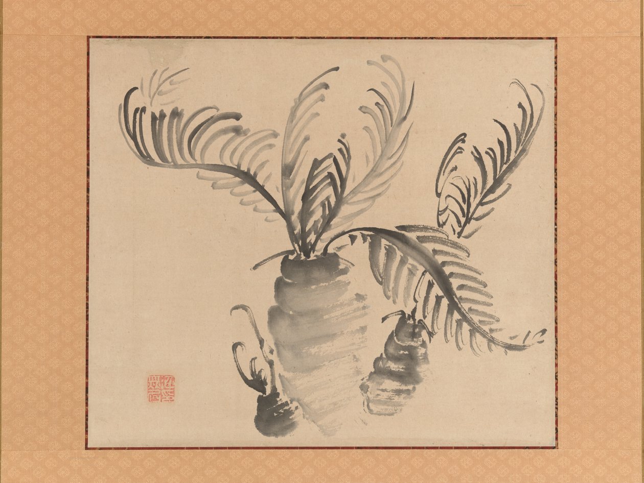苏铁，十八世纪中叶。 作者 池之针