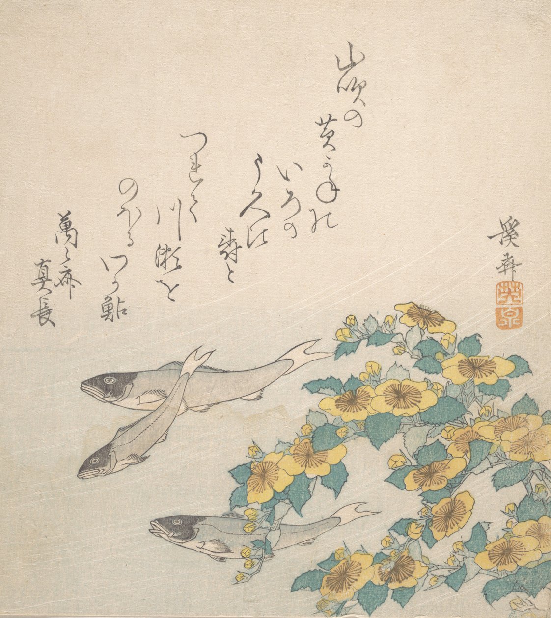 鱼儿与黄花一起游泳，约1830年。 作者 池田铁