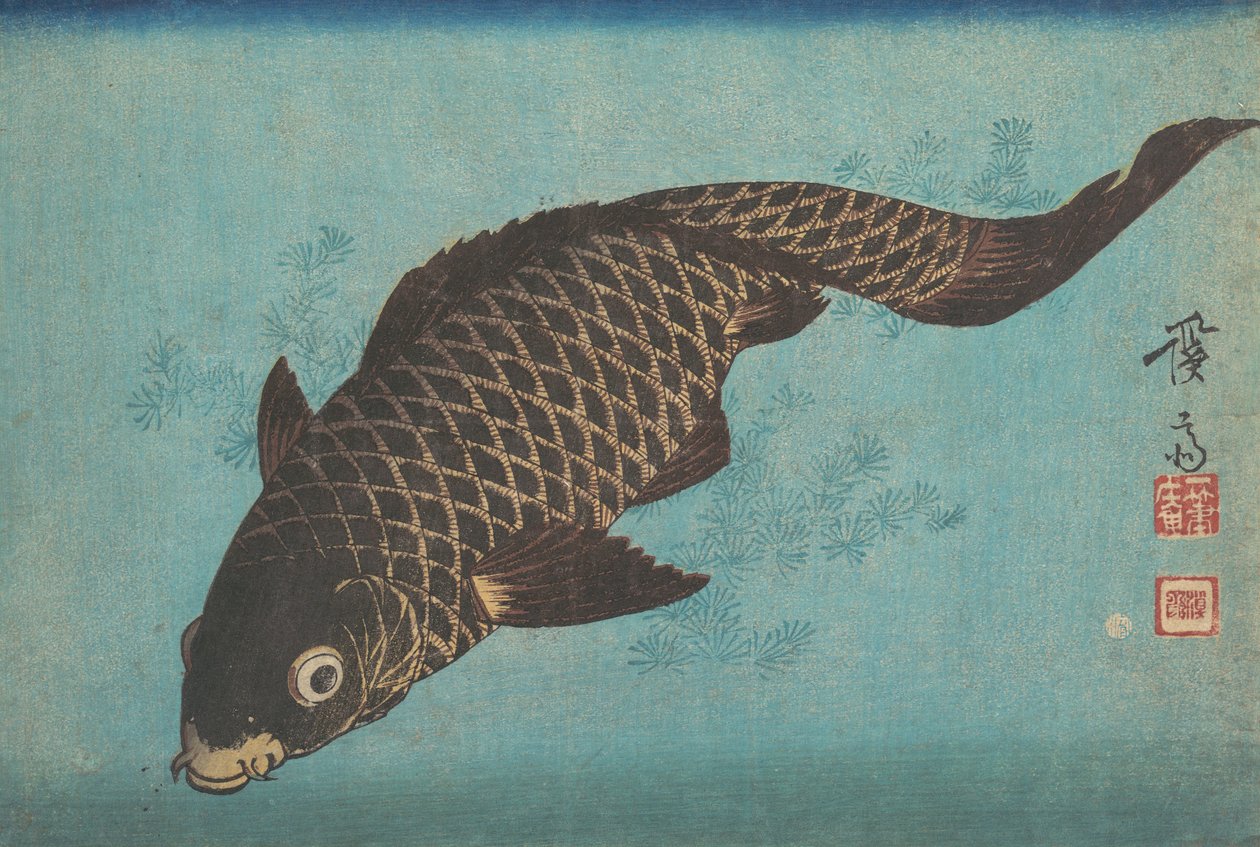 锦鲤，约1842年。 作者 池田铁