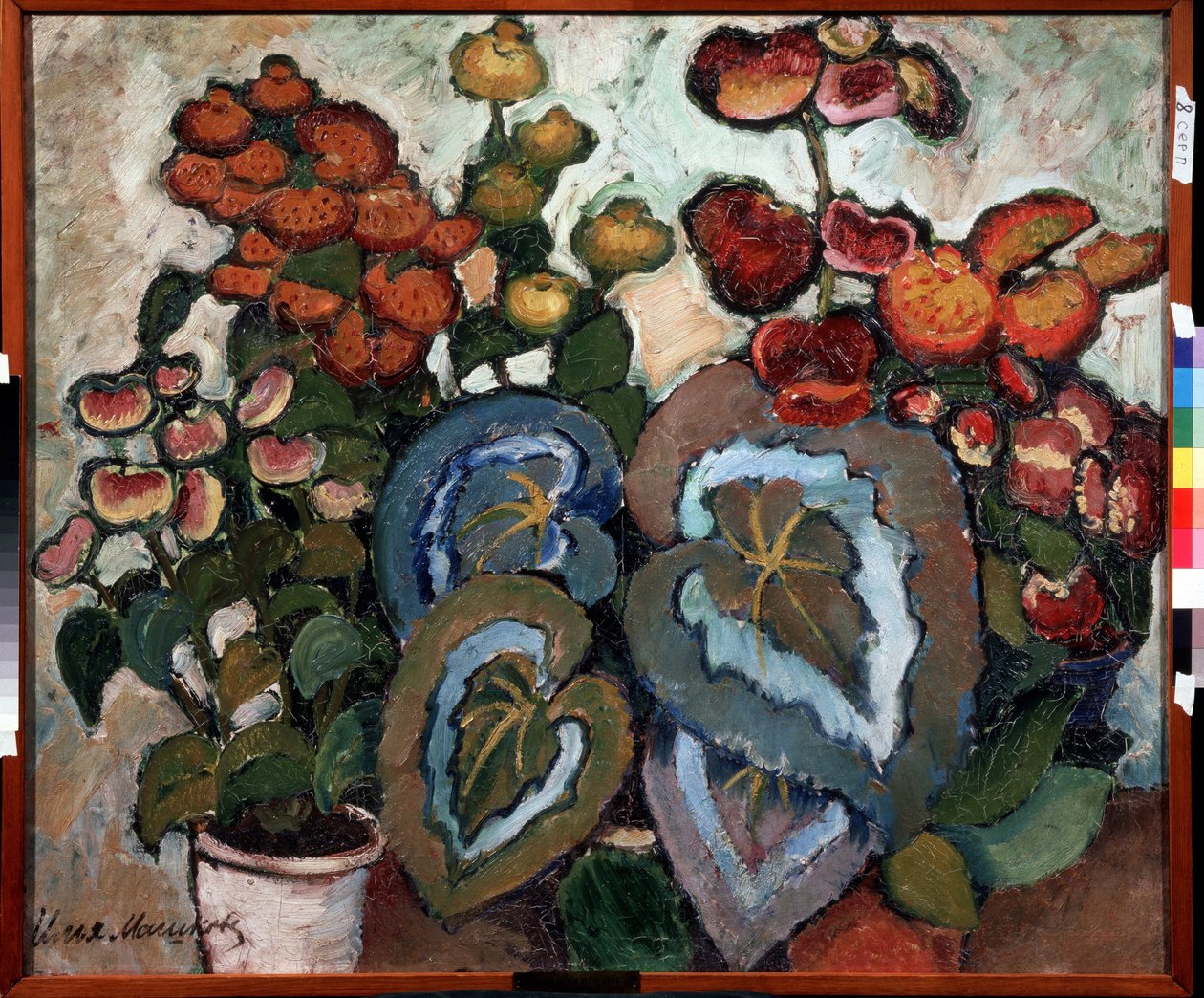 海棠。 伊利亚·伊万诺维奇·马什科夫 (Ilya Machkov, Matchkov) 的绘画（1881-1944），huile Sir toile 作者 伊利亚·伊万诺维奇·马什科夫