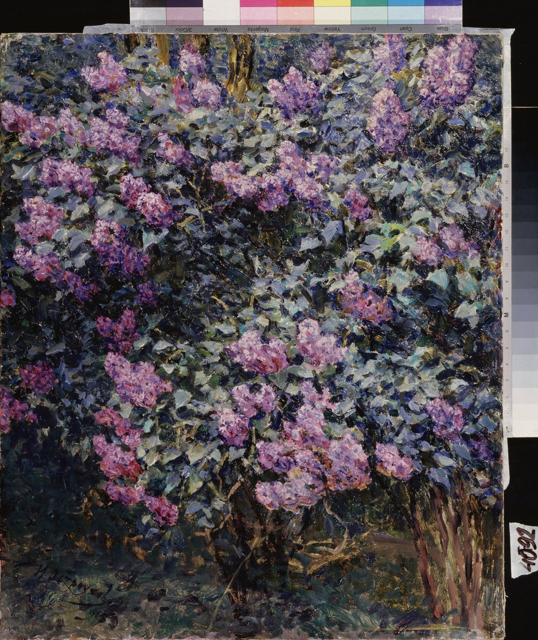 丁香花伊利亚（伊利亚）-谢苗诺维奇-奥斯特鲁霍夫（1858-1929 年）的画作，布面油画 作者 伊利亚·奥斯特鲁霍夫（Ilya Ostrouhov）