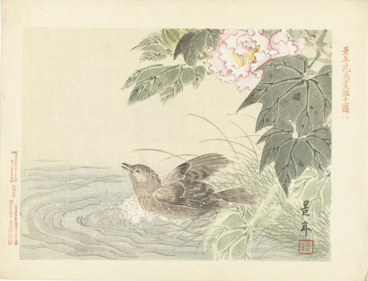 粉红色花朵中沐浴的小鸟 凯宁的花鸟素描（系列标题） Keinen kacho gafu（物体上的系列标题） 作者 今尾无