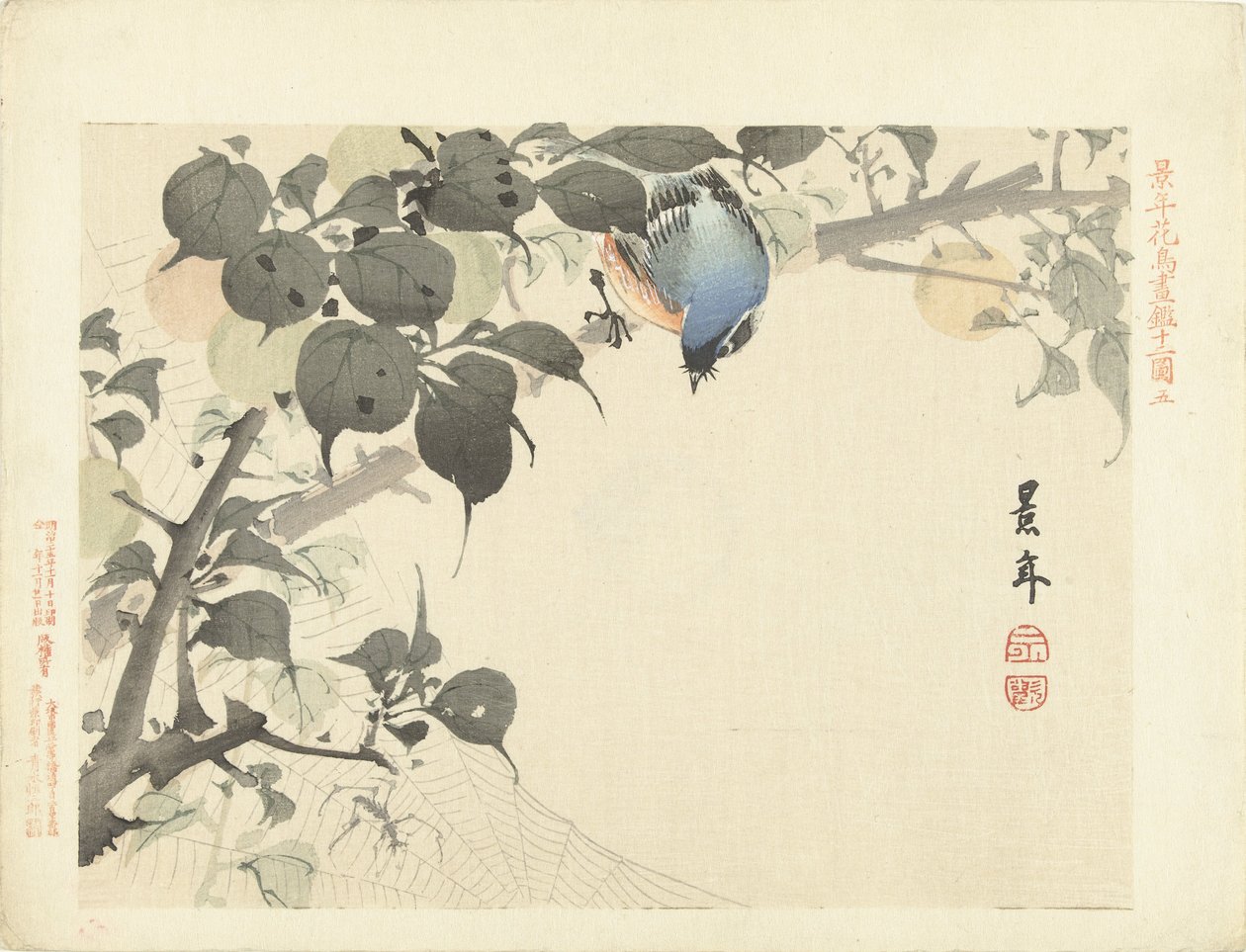 蓝橙色的鸟在树枝上看着蜘蛛
Keinen 的花鸟素描（系列标题）
Keinen kacho gafu（物体上的系列标题） 作者 今尾无