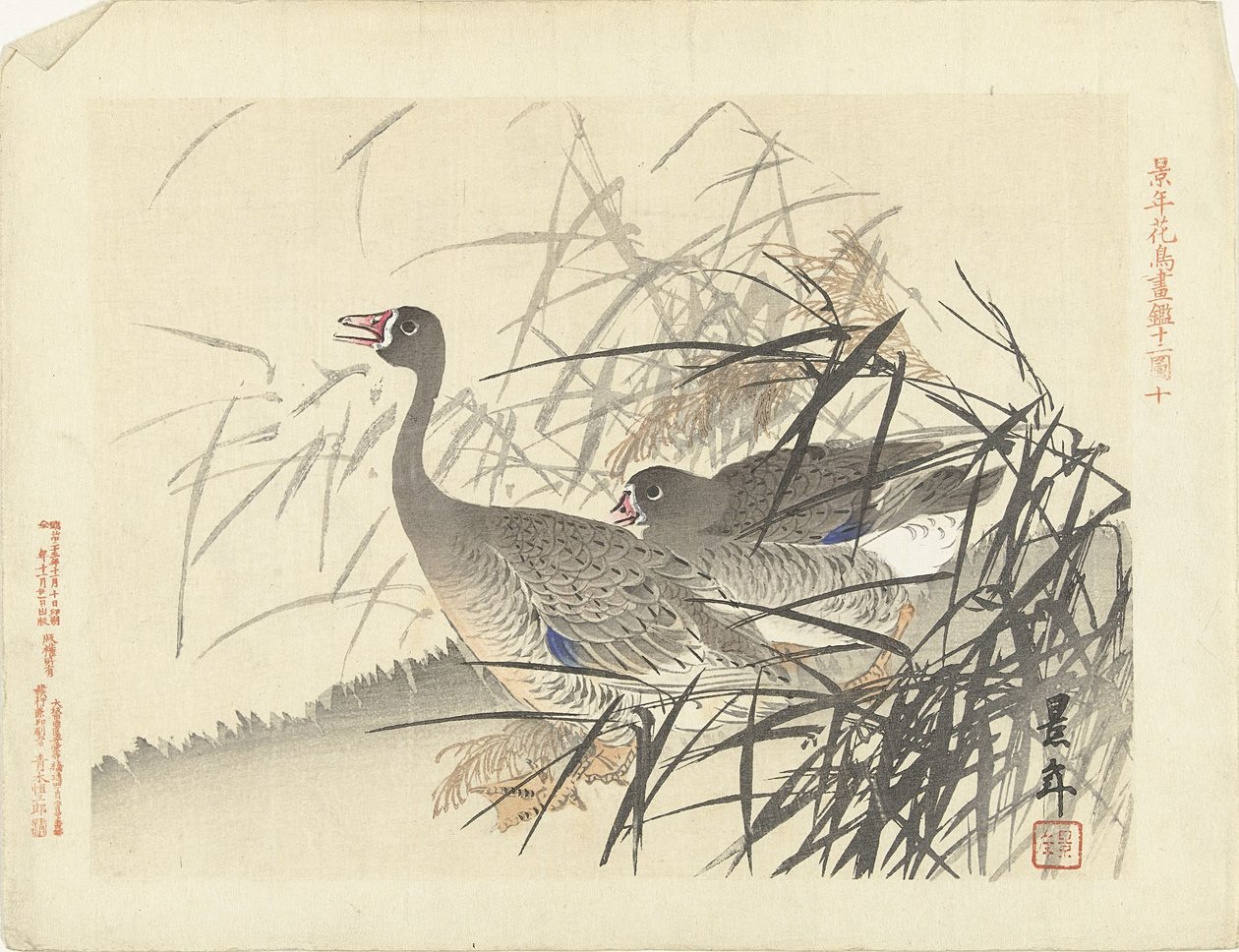 芦苇丛中的两只鹅
Keinen 的花鸟素描（系列标题）
Keinen kacho gafu（物体上的系列标题） 作者 今尾无