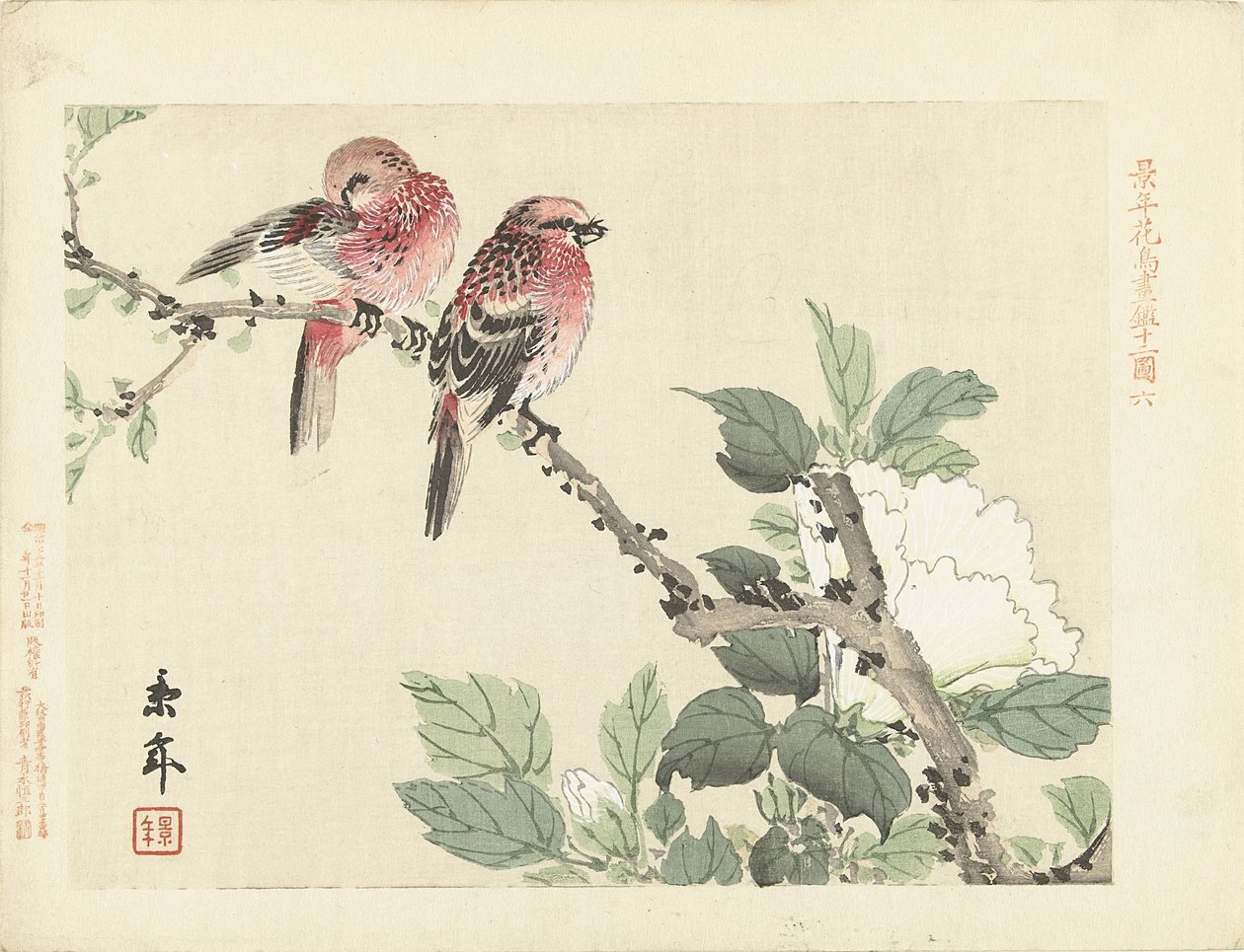 树枝上的两只红鸟与白色花朵
Keinen 的花鸟素描（系列标题）
Keinen kacho gafu（物体上的系列标题） 作者 今尾无