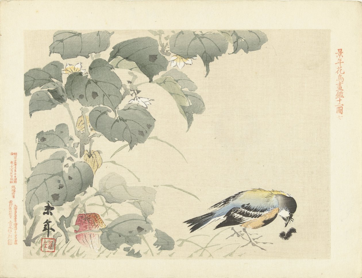 小鸟看毛毛虫
Keinen 的花鸟素描（系列标题）
Keinen kacho gafu（物体上的系列标题） 作者 今尾无